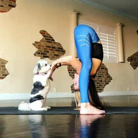 Photo by Kylan | Yoga Instructor in Corona, California with @aloyoga. Image may contain: living room, shoes, dog and indoor