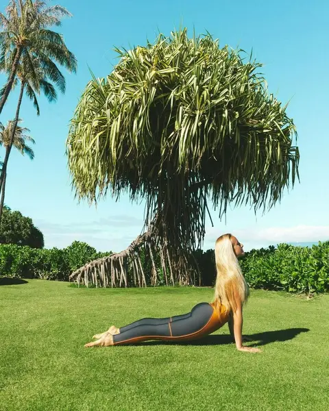 image by neyu_ma containing Tree, Grass, Palm tree, Physical fitness, Grass family