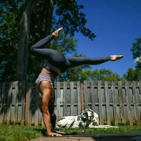 image by laurasykora containing Leg, Stretching, Physical fitness, Tree, Flip (acrobatic)