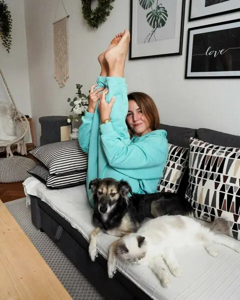 image by martina_sergi containing Canidae, Dog, Companion dog, Room, Furniture