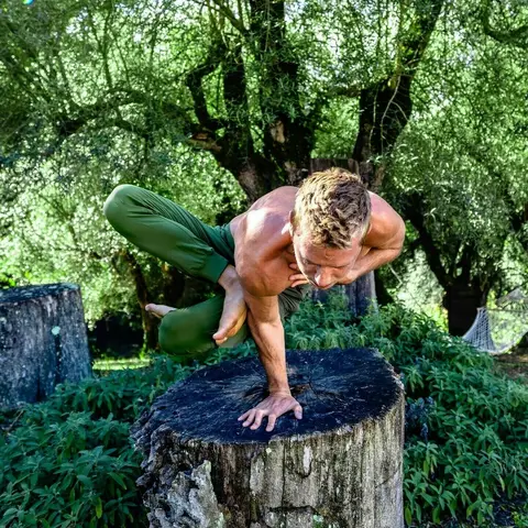 image by joshkrameryoga containing Green, Tree, Muscle, Physical fitness, Plant