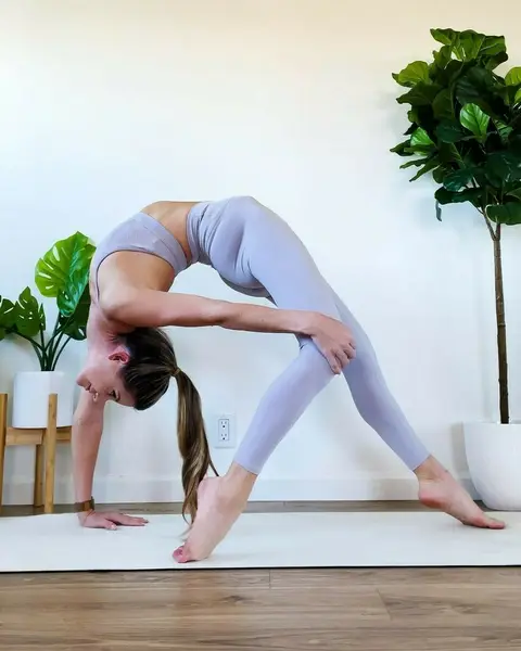 image%20by%20yoga_ky%20containing%20Joint%2C%20Plant%2C%20yoga%20pant%2C%20Active%20pants%2C%20Waist