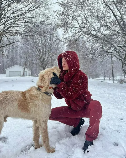image by georgiagibbs_ containing Snow, Dog, Carnivore, Tree, Dog breed