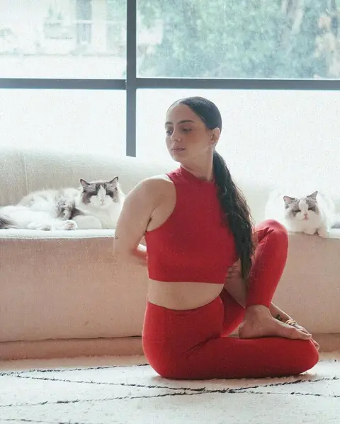 image by talia_sutra containing White, Cat, Comfort, Human body, Sleeve