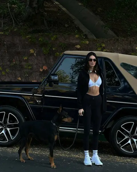 image by kendalljenner containing dog, woman, car, stand, black