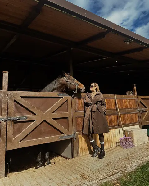image by michellesalasb containing horse, woman, stable, stand, brown