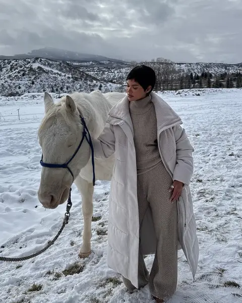 image by juliananalu containing horse, snow, stand, white, field